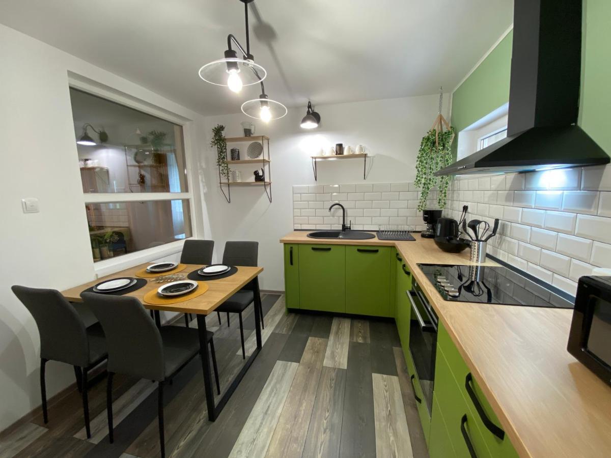 Evergreen Apartment Timişoara Extérieur photo