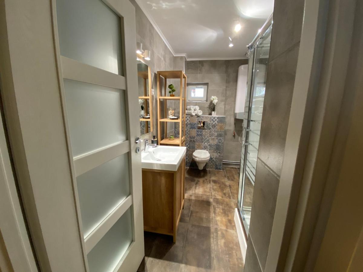 Evergreen Apartment Timişoara Extérieur photo