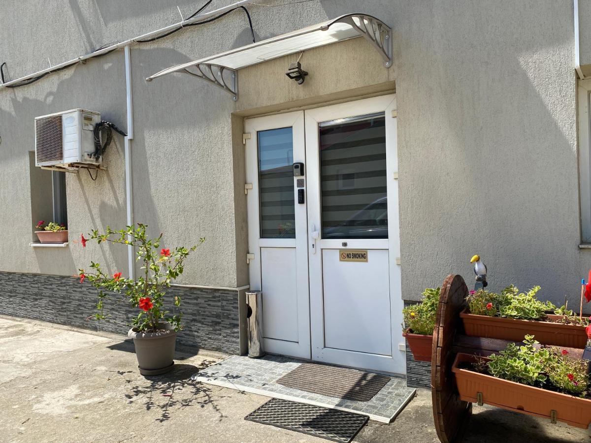 Evergreen Apartment Timişoara Extérieur photo